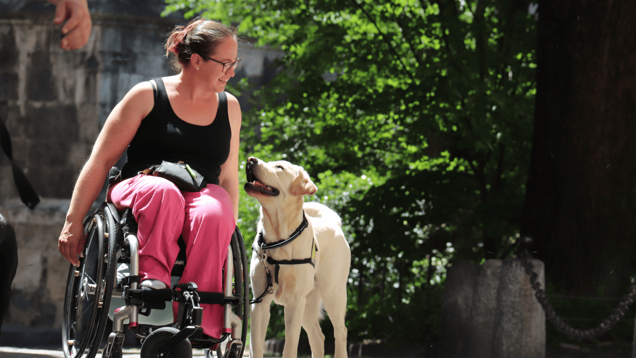 Spass und Spiel ist wichtig für die Teambindung. Assistenzhund "Glue" nimmt Anita im Alltag so manchen Handgriff ab. Die Geschichte einer ganz besonderen Freundschaft  (Foto: Stiftung LE COPAIN.)