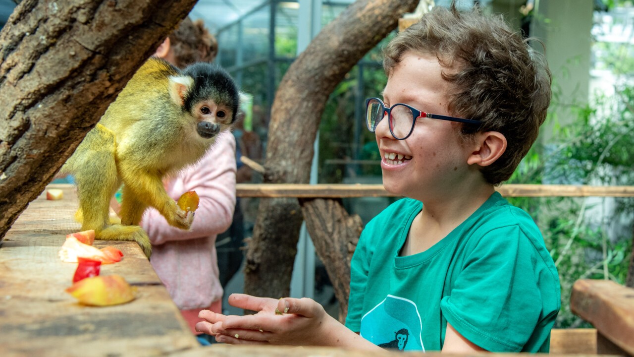 Die Stiftung Kinderhilfe Sternschnuppe erfüllt Kinderwünsche: Flurin darf sich als Tierpfleger versuchen.