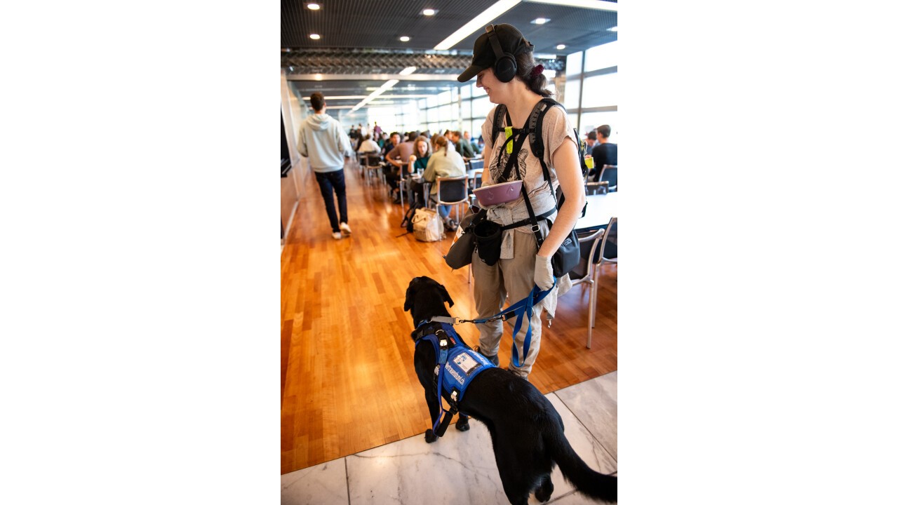 Zusammen essen holen in der Kantine. Die Halterin muss ihren Fokus immer wieder auf den Hund lenken und ist so von den vielen Menschen abgelenkt.