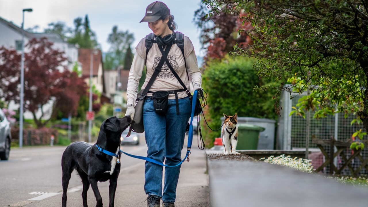 Nayla, Franziska Menti und Estrella. Für weitere Strecken darf Estrella in den Rucksack.