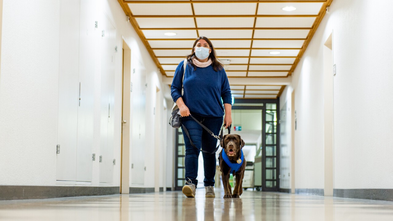 Zusammen arbeiten. Der Vertrauenshund führt sicher durch die Gänge des Spitals.