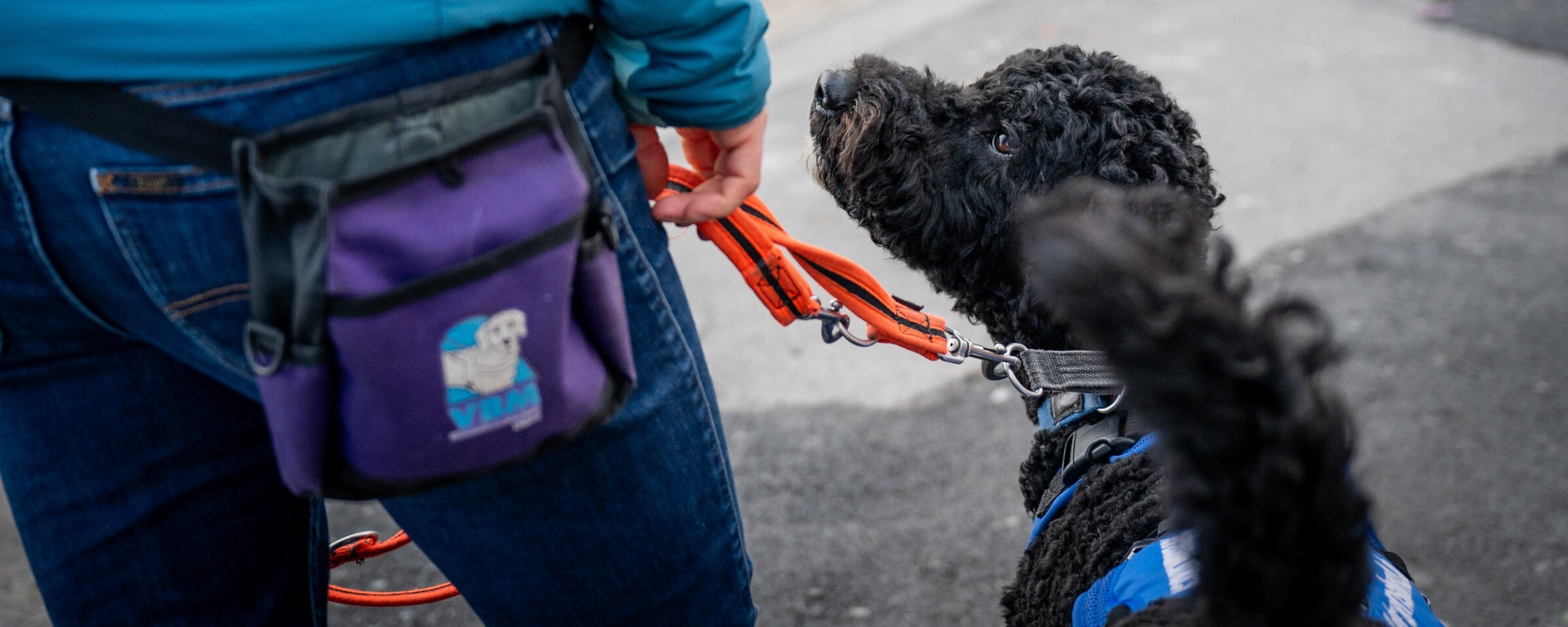 Blindenhundeschule Liestal